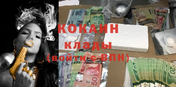 ПСИЛОЦИБИНОВЫЕ ГРИБЫ Карпинск