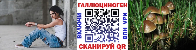 Галлюциногенные грибы Psilocybine cubensis  Калуга 