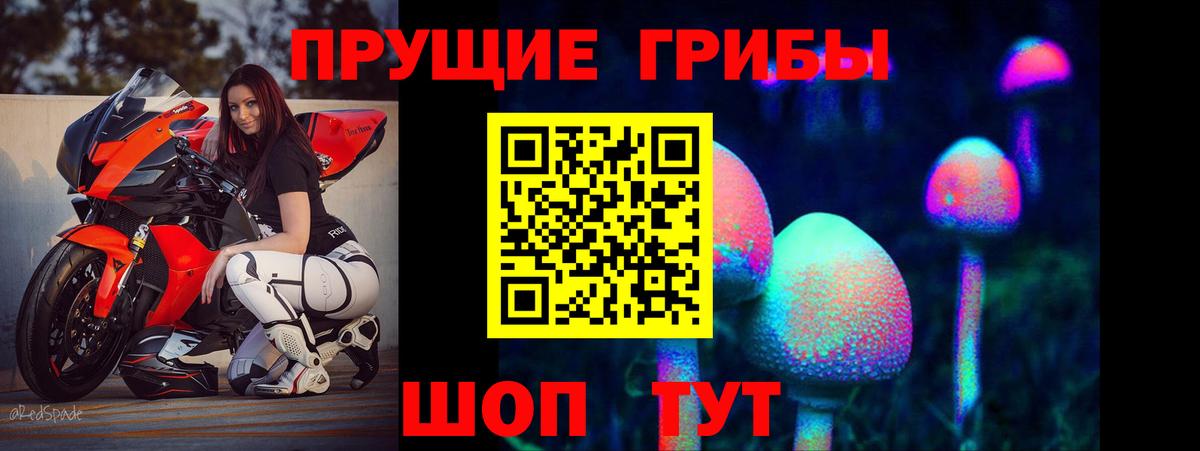 Псилоцибиновые грибы мухоморы  Псилоцибиновые грибы GOLDEN TEACHER  Калуга  Вход с VPN 