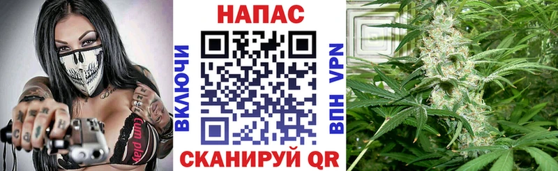 Марихуана тримм  Калуга 